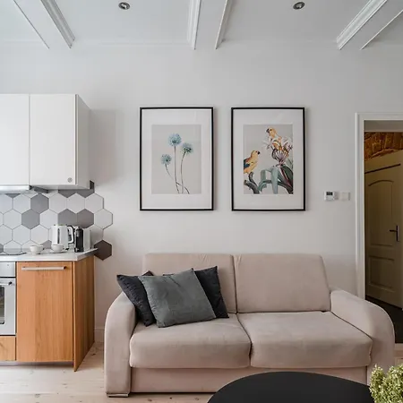 Comfort & Modern By Market Square With Ac As S5a Breslavia